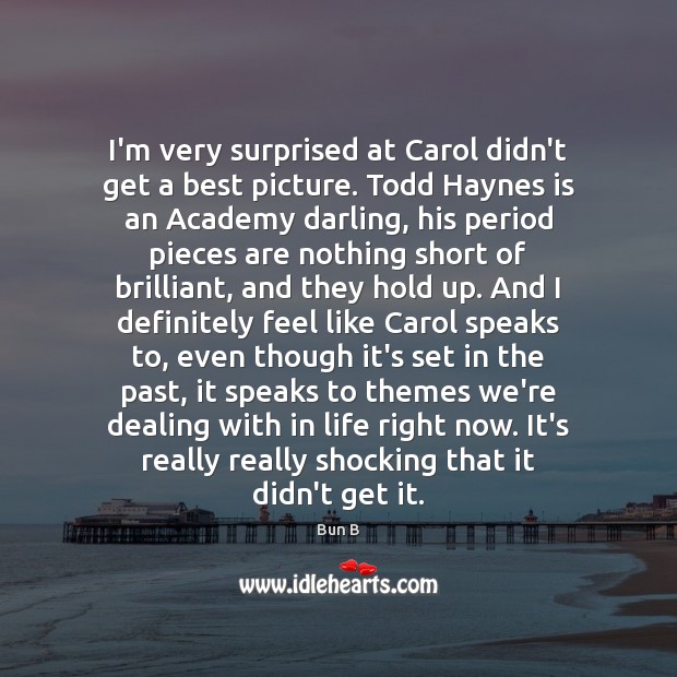 I’m very surprised at Carol didn’t get a best picture. Todd Haynes Bun B Picture Quote