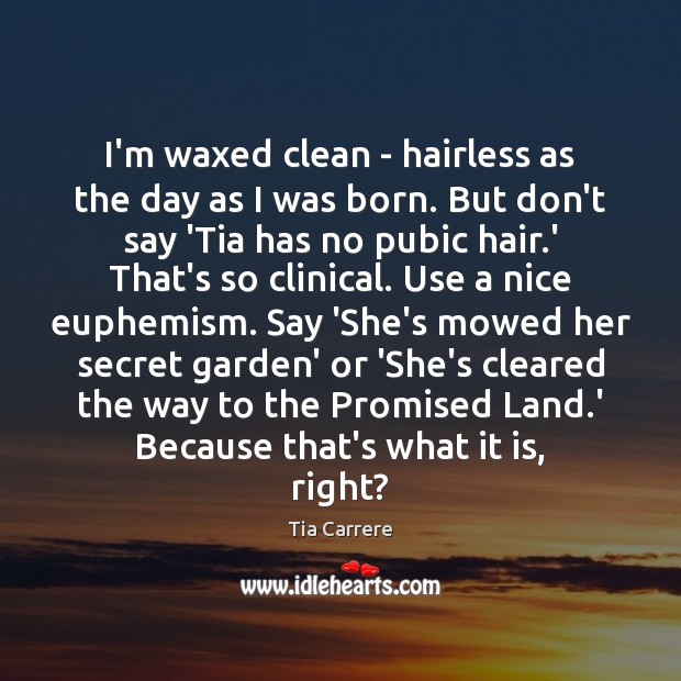 I’m waxed clean – hairless as the day as I was born. Image