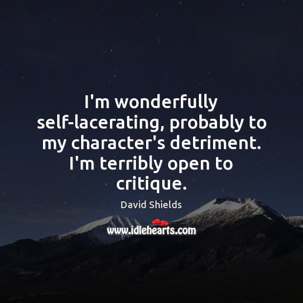 I’m wonderfully self-lacerating, probably to my character’s detriment. I’m terribly open to David Shields Picture Quote