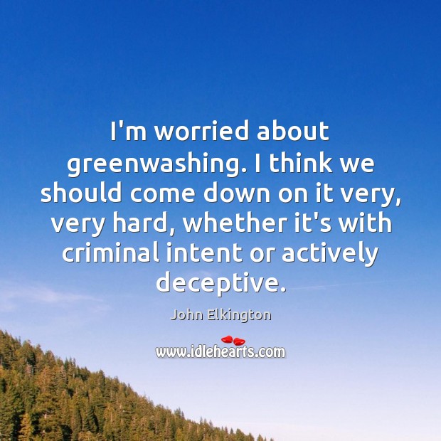 I’m worried about greenwashing. I think we should come down on it John Elkington Picture Quote