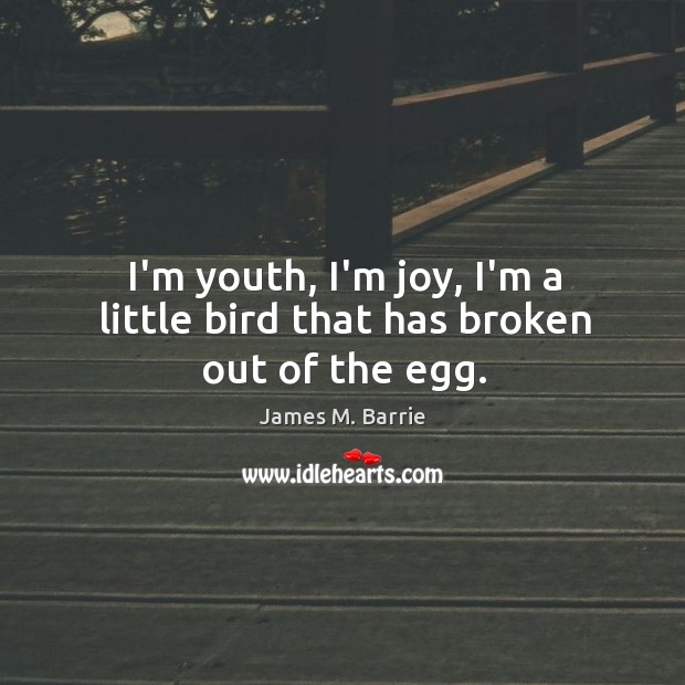 I’m youth, I’m joy, I’m a little bird that has broken out of the egg. James M. Barrie Picture Quote