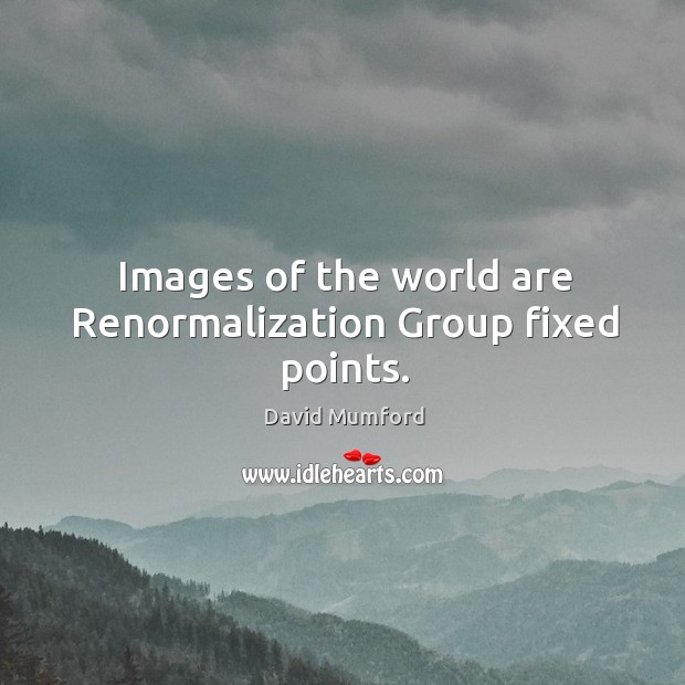 Images of the world are Renormalization Group fixed points. David Mumford Picture Quote