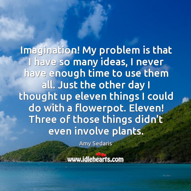 Imagination! My problem is that I have so many ideas, I never Amy Sedaris Picture Quote