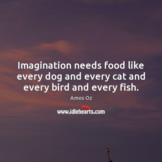 Imagination needs food like every dog and every cat and every bird and every fish. Amos Oz Picture Quote