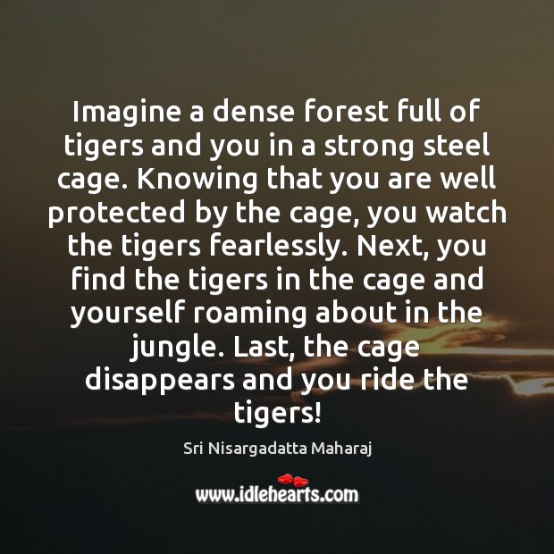 Imagine a dense forest full of tigers and you in a strong Sri Nisargadatta Maharaj Picture Quote