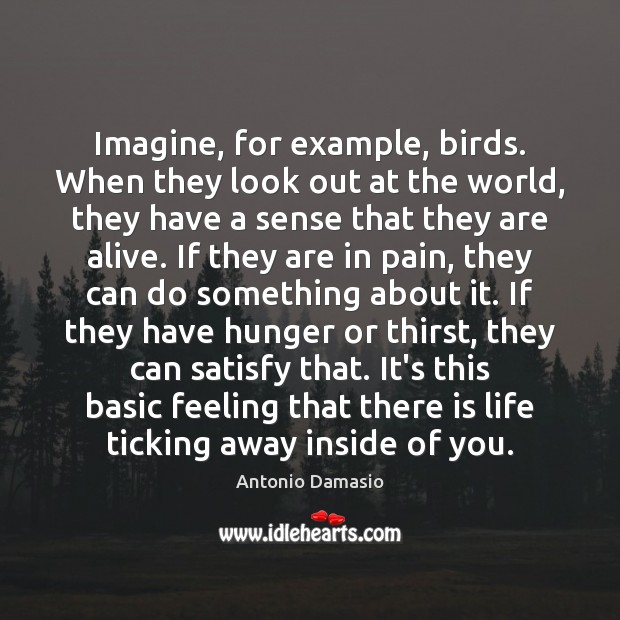 Imagine, for example, birds. When they look out at the world, they Antonio Damasio Picture Quote