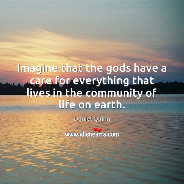 Imagine that the Gods have a care for everything that lives in Daniel Quinn Picture Quote