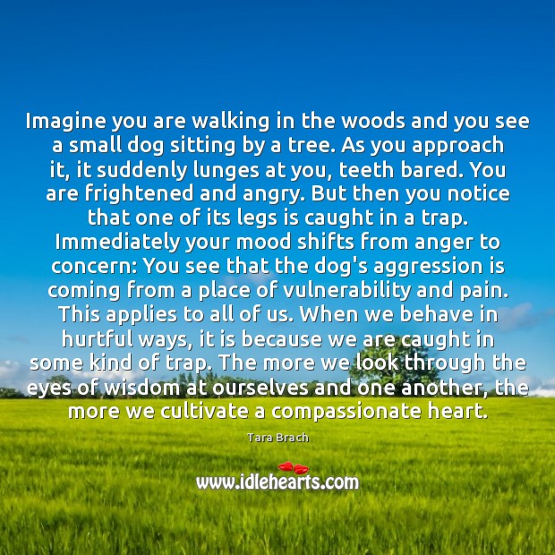 Imagine you are walking in the woods and you see a small Tara Brach Picture Quote