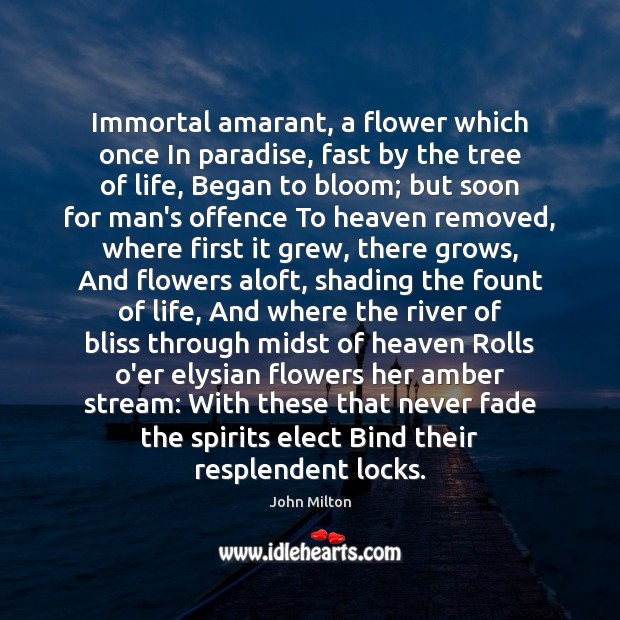 Immortal amarant, a flower which once In paradise, fast by the tree John Milton Picture Quote