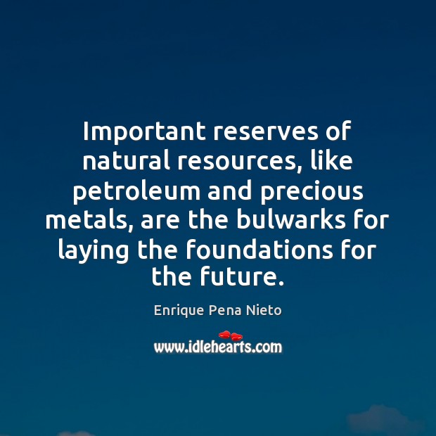 Important reserves of natural resources, like petroleum and precious metals, are the Enrique Pena Nieto Picture Quote