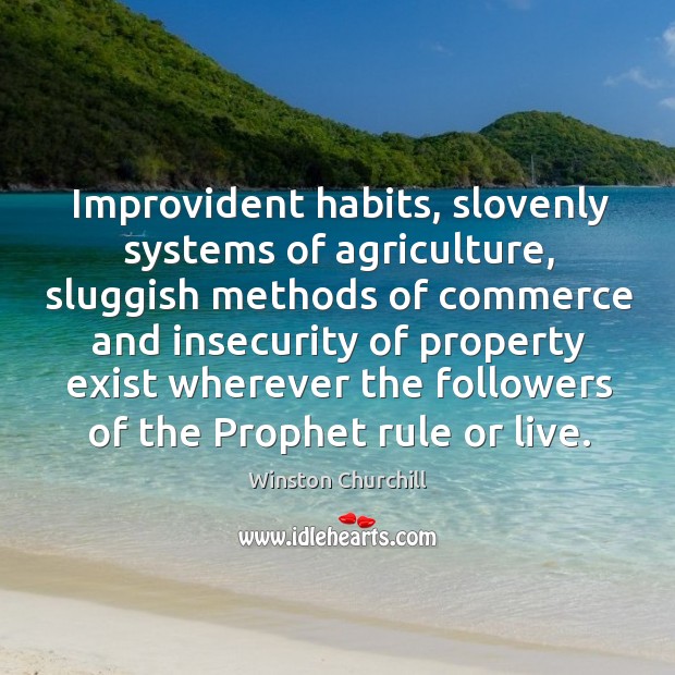 Improvident habits, slovenly systems of agriculture, sluggish methods of commerce and insecurity Image