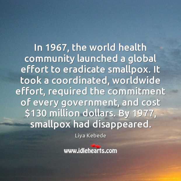 In 1967, the world health community launched a global effort to eradicate smallpox. Liya Kebede Picture Quote