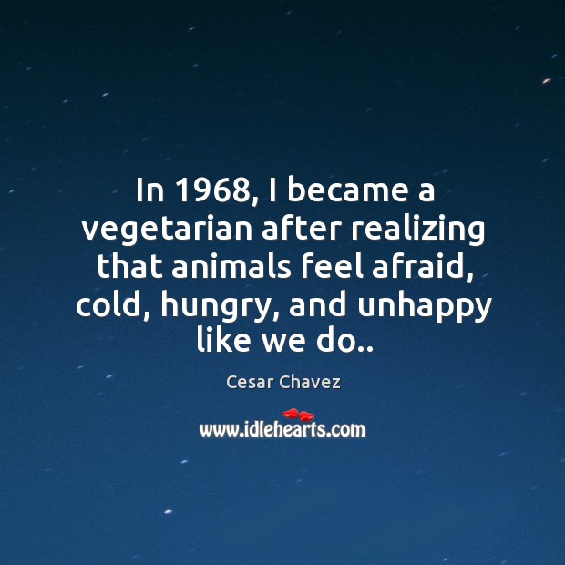 In 1968, I became a vegetarian after realizing that animals feel afraid, cold, Cesar Chavez Picture Quote