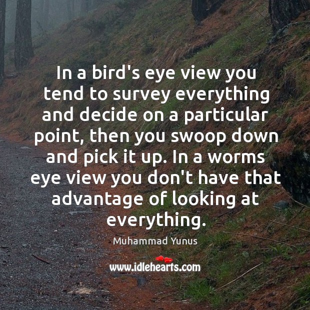 In a bird’s eye view you tend to survey everything and decide Muhammad Yunus Picture Quote