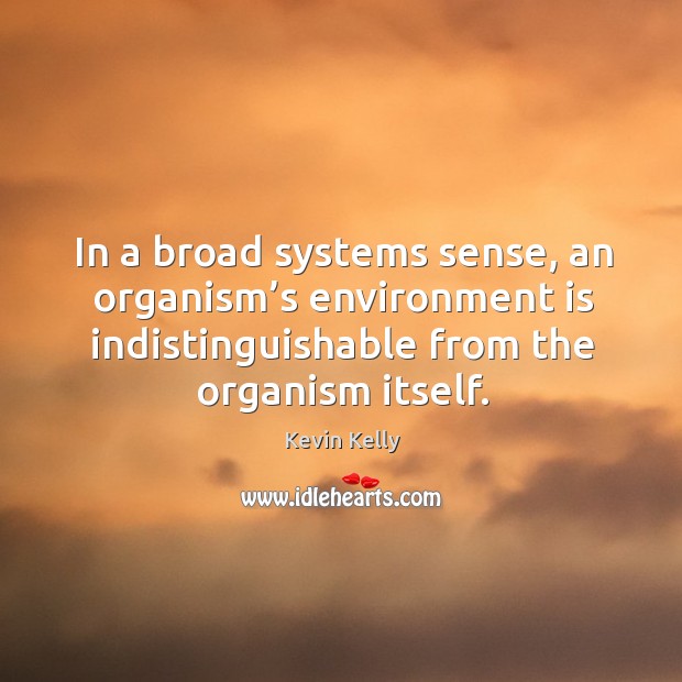 In a broad systems sense, an organism’s environment is indistinguishable from the organism itself. Kevin Kelly Picture Quote