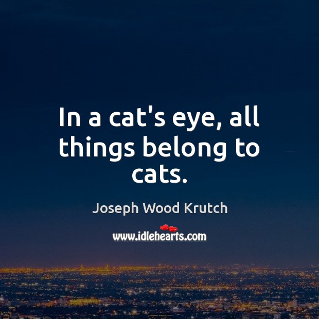 In a cat’s eye, all things belong to cats. Joseph Wood Krutch Picture Quote