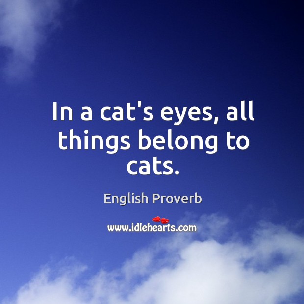 In a cat’s eyes, all things belong to cats. English Proverbs Image