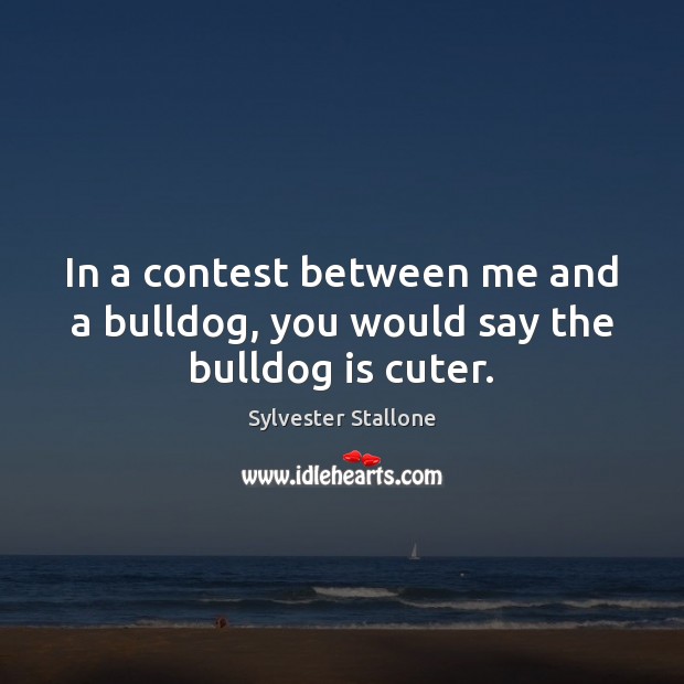 In a contest between me and a bulldog, you would say the bulldog is cuter. Sylvester Stallone Picture Quote