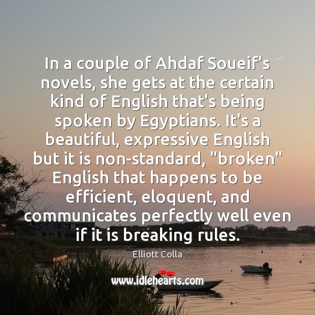 In a couple of Ahdaf Soueif’s novels, she gets at the certain Elliott Colla Picture Quote