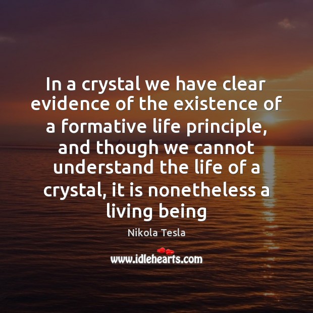 In a crystal we have clear evidence of the existence of a Nikola Tesla Picture Quote