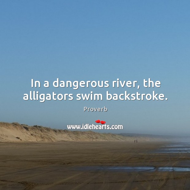 In a dangerous river, the alligators swim backstroke. 