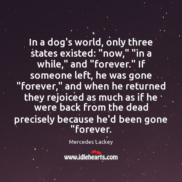 In a dog’s world, only three states existed: “now,” “in a while,” Mercedes Lackey Picture Quote