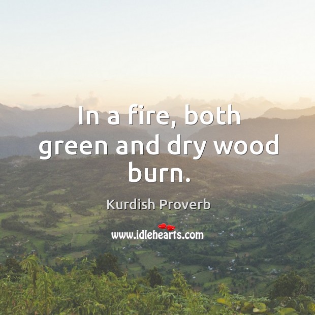 In a fire, both green and dry wood burn. Kurdish Proverbs Image