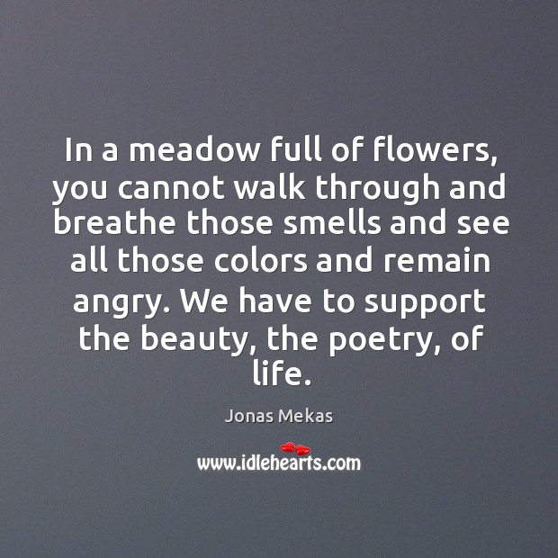 In a meadow full of flowers, you cannot walk through and breathe Jonas Mekas Picture Quote
