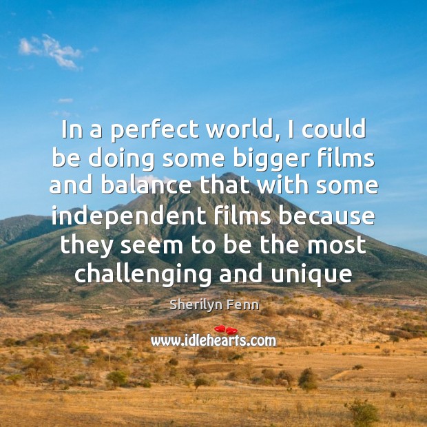 In a perfect world, I could be doing some bigger films and Sherilyn Fenn Picture Quote