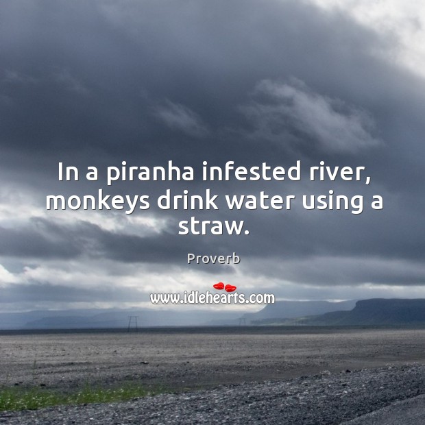 In a piranha infested river, monkeys drink water using a straw. 