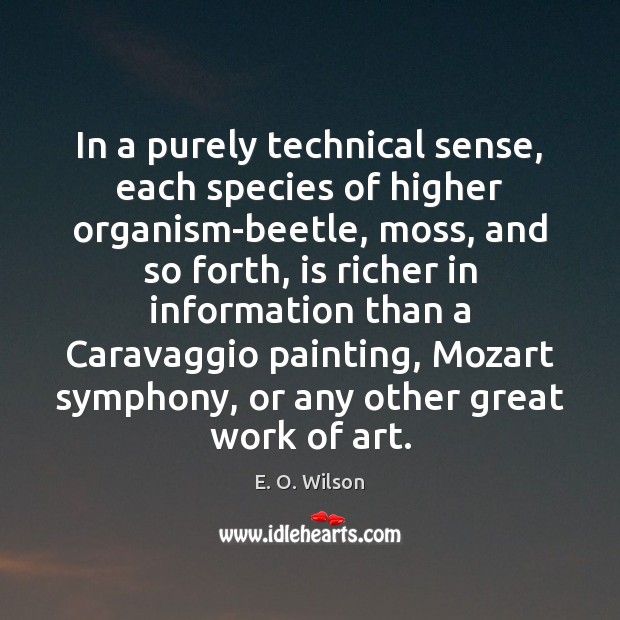 In a purely technical sense, each species of higher organism-beetle, moss, and E. O. Wilson Picture Quote