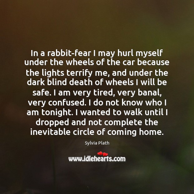 In a rabbit-fear I may hurl myself under the wheels of the Stay Safe Quotes Image