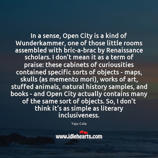 In a sense, Open City is a kind of Wunderkammer, one of Image