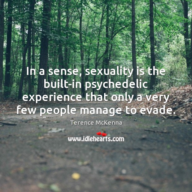 In a sense, sexuality is the built-in psychedelic experience that only a Terence McKenna Picture Quote