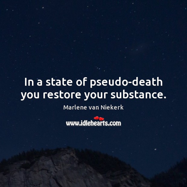 In a state of pseudo-death you restore your substance. Marlene van Niekerk Picture Quote