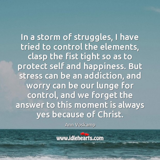 In a storm of struggles, I have tried to control the elements, Ann Voskamp Picture Quote