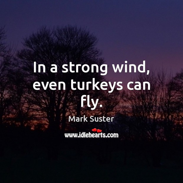 In a strong wind, even turkeys can fly. Mark Suster Picture Quote