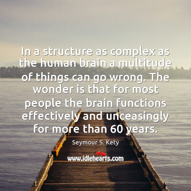 In a structure as complex as the human brain a multitude of Seymour S. Kety Picture Quote