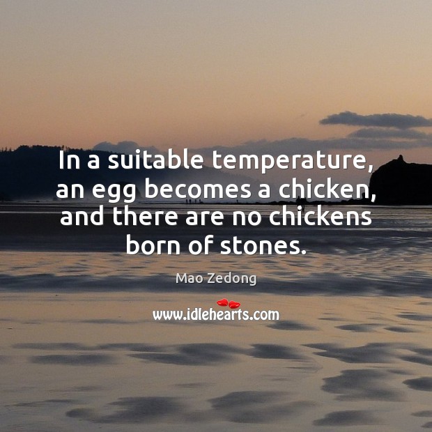 In a suitable temperature, an egg becomes a chicken, and there are Mao Zedong Picture Quote