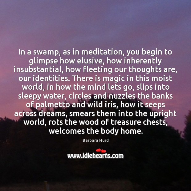 In a swamp, as in meditation, you begin to glimpse how elusive, Image