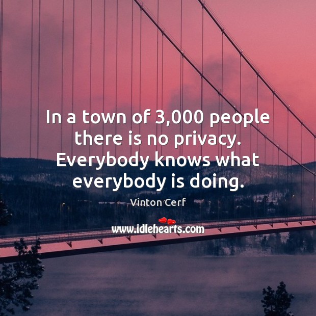 In a town of 3,000 people there is no privacy. Everybody knows what everybody is doing. Vinton Cerf Picture Quote