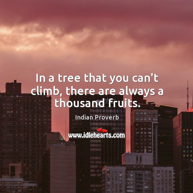In a tree that you can’t climb, there are always a thousand fruits. Indian Proverbs Image