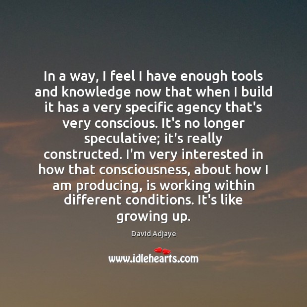 In a way, I feel I have enough tools and knowledge now David Adjaye Picture Quote