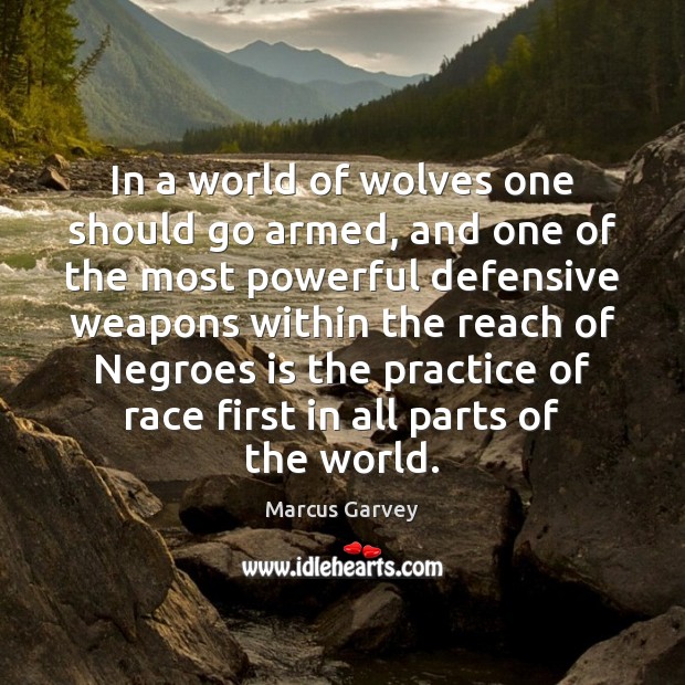 In a world of wolves one should go armed, and one of Marcus Garvey Picture Quote