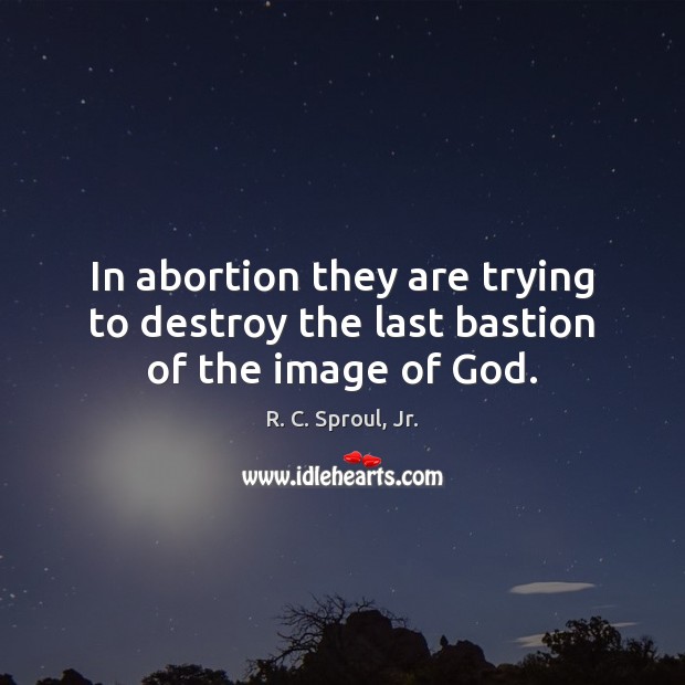 In abortion they are trying to destroy the last bastion of the image of God. R. C. Sproul, Jr. Picture Quote