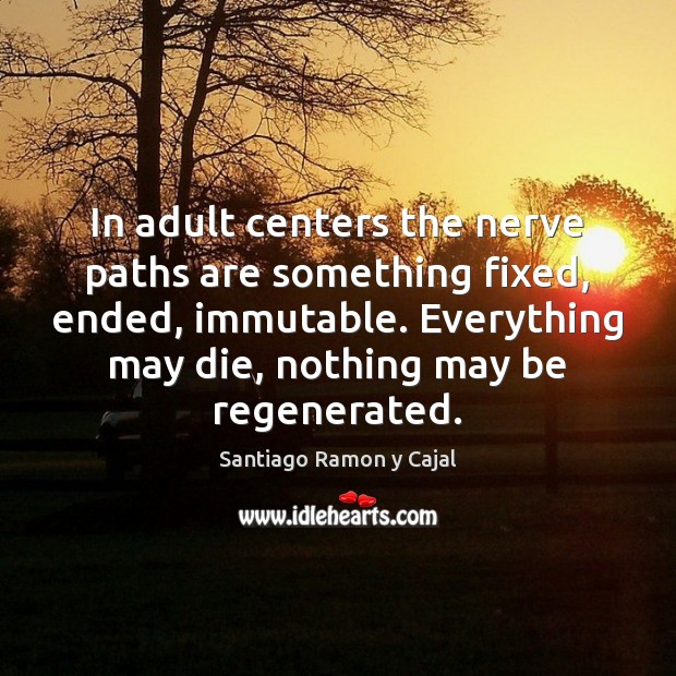 In adult centers the nerve paths are something fixed, ended, immutable. Everything Santiago Ramon y Cajal Picture Quote