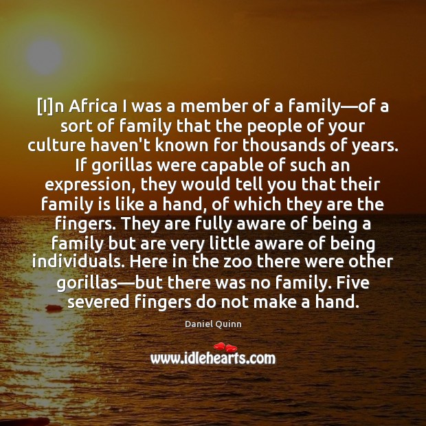 [I]n Africa I was a member of a family—of a Daniel Quinn Picture Quote