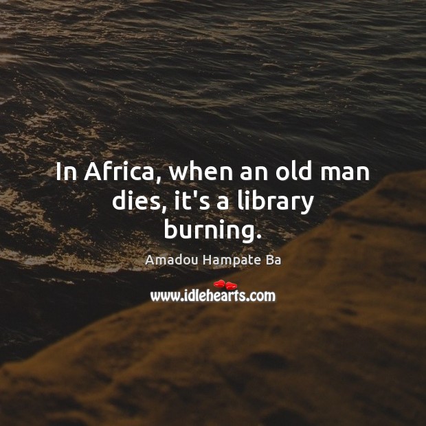 In Africa, when an old man dies, it’s a library burning. Amadou Hampate Ba Picture Quote