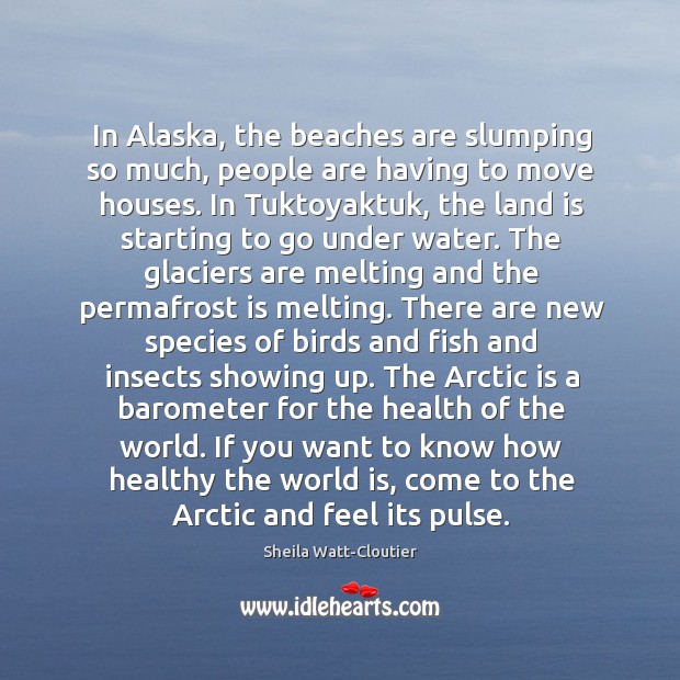 In Alaska, the beaches are slumping so much, people are having to Image