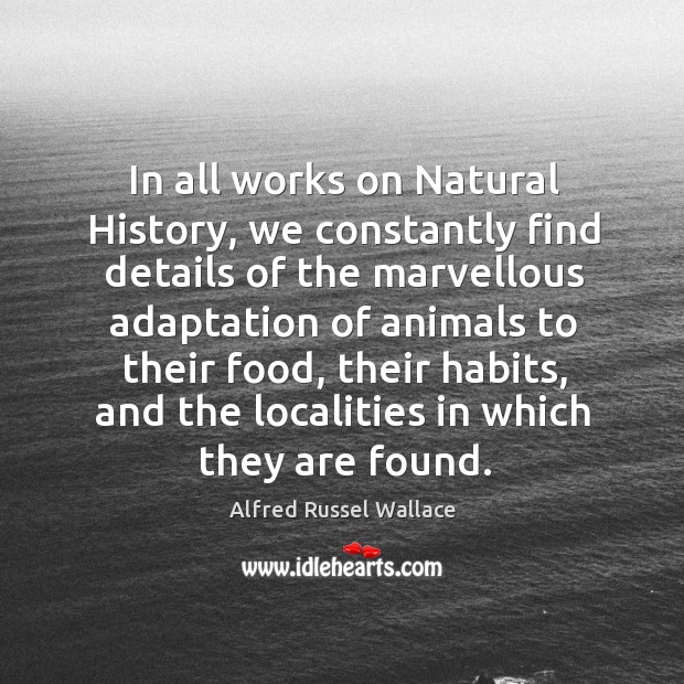 In all works on natural history, we constantly find details of the marvellous adaptation Alfred Russel Wallace Picture Quote